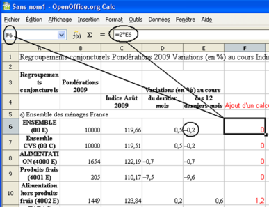 Figure 1.9 : Recopie dans OpenOffice 2.4 du tableau présent dans la page Web de l'Insee