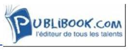 Illustration du logo du site Publibook.com
