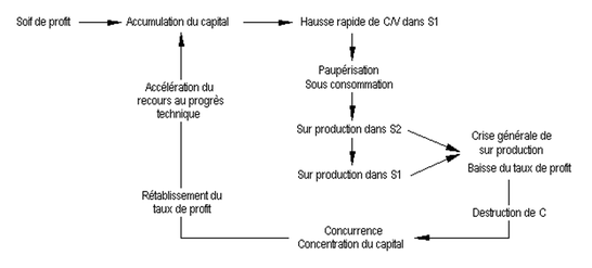 Schéma des crises de la reproduction