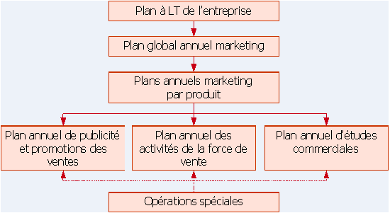 Figure 2 : Déclinaisons possibles d'un plan marketing à long terme