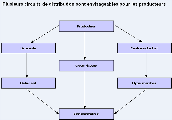 Figure 1 : Les circuits de distribution