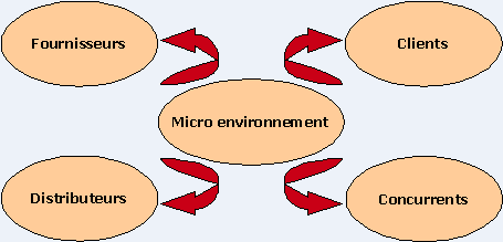 Figure 10 : les facteurs du micro-environnement